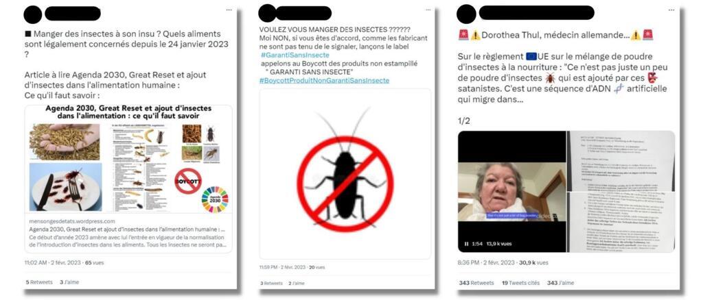 Exemples de posts partageant ce type d'infox sur les réseaux sociaux.