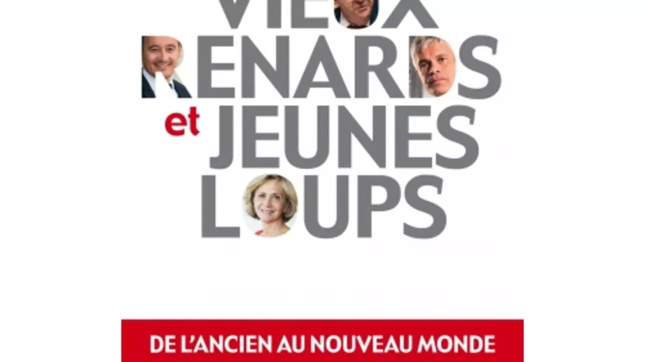 Vieux Renards Et Jeunes Loups De Frederic Metezeau Livre France