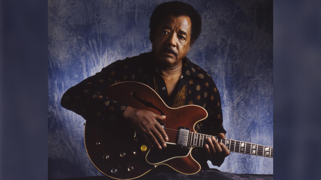 Le guitariste américain Jimmy Johnson à Libertyville, Illinois, 1993.