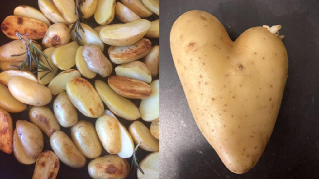 Pommes de terre.