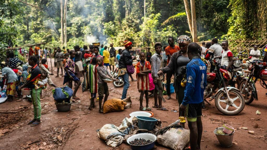 Le marché aux chenilles de Mbata dans la Lobaye.