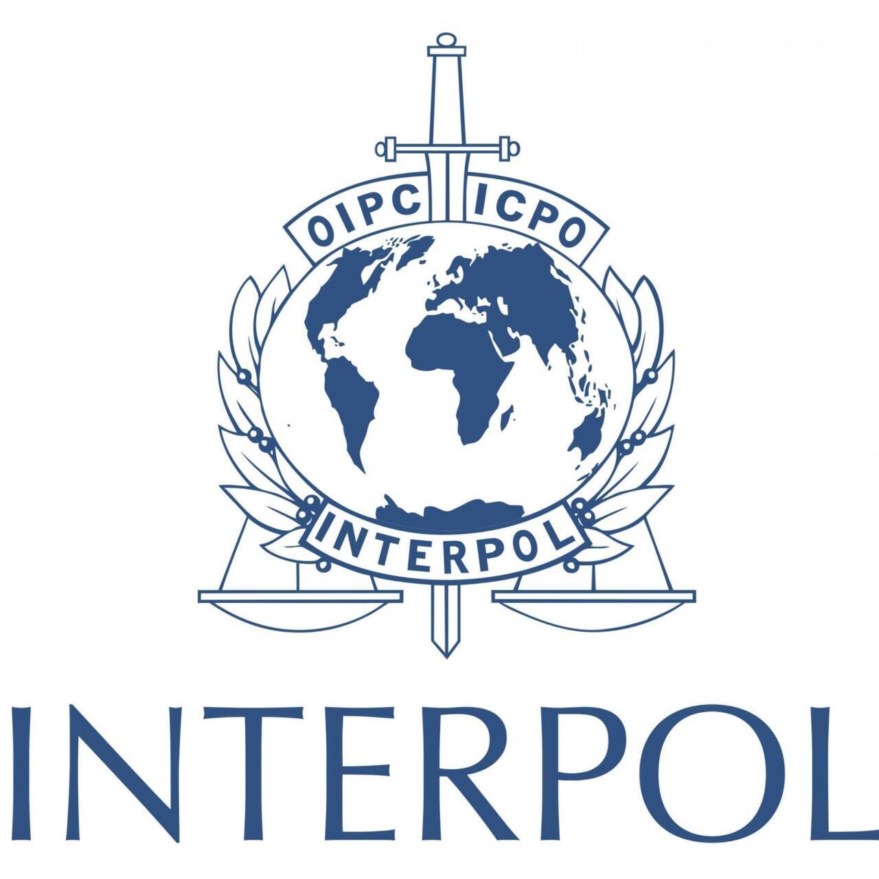 警視庁 国際刑事警察機構 INTERPOL 国際捜査作戦部門 チャレンジコイン Amazon.co.jp: Central Intelligence Agency Challenge Coin