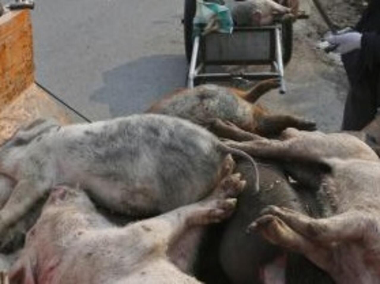 20180822_image_creation_1_reut