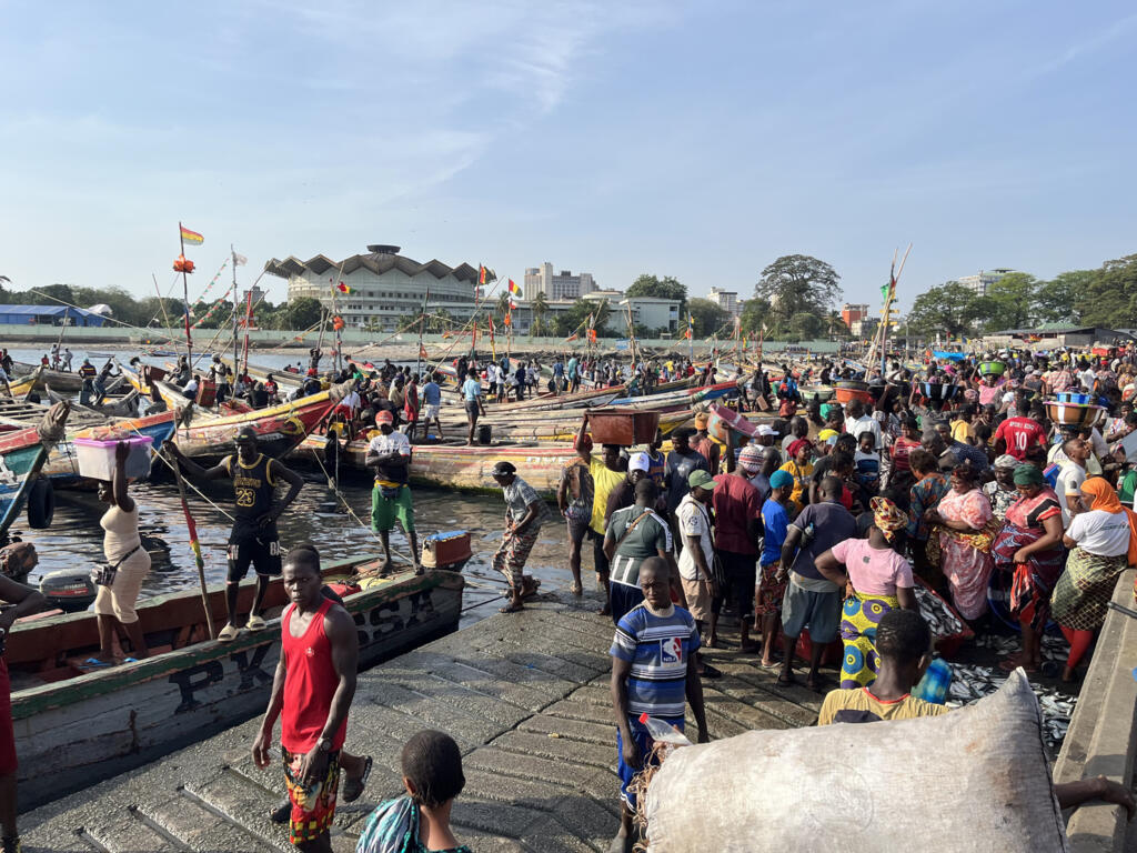 Débarquement des poissons au port de Boulbinet (Conakry) depuis les bateaux de pêche artisanaux et vente aux mareyeuses, sur la digue.