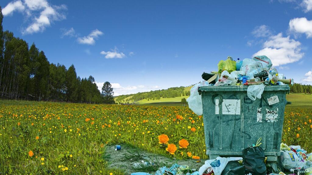 Mișcarea Let's Do It, Romania organizează Ziua de Curățenie Națională pe 21 septembrie (imagine cu titlu de ilustrație)