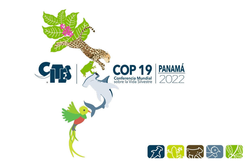 Logo de la COP-19