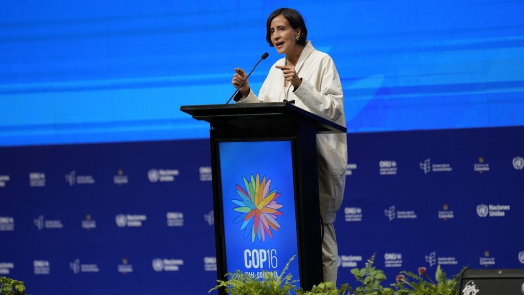 Cali, le 20 octobre 2024. La ministre de l'Environnement colombienne et présidente de la COP16, Susana Muhamad.