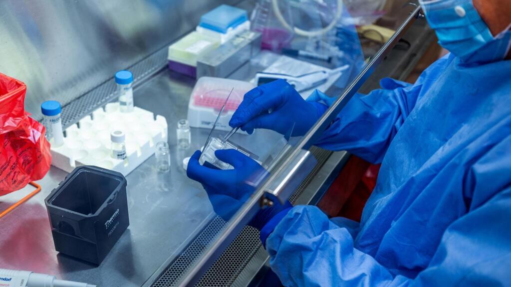 Un chercheur de l'université de Pittsburgh aux États-Unis travaille sur un candidat vaccin COVID-19, un patch de la taille d'un doigt avec des aiguilles microscopiques solubles.