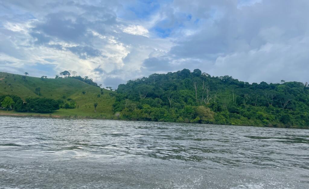 Desmatamento diminui a resiliência da floresta face ao aumento de fenômenos extremos, como a seca.