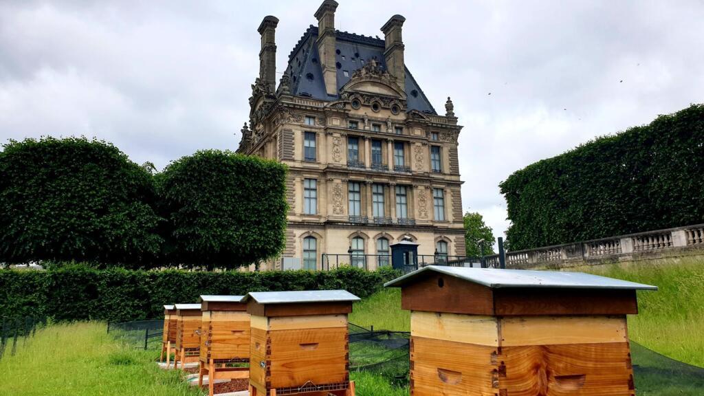 Colmeias do Museu do Louvre, instaladas no Jardim das Tulherias, em pleno centro de Paris. 