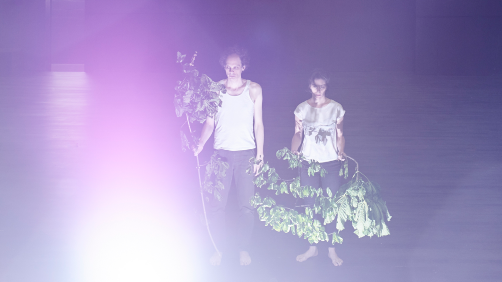 Sans Effort, un spectacle de Joel Maillard avec Marie Ripoll