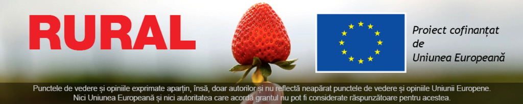Banner Rural