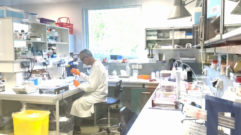 160 profissionais da biotech francesa Transgene trabalham na produção da vacina terapêutica TG4050.