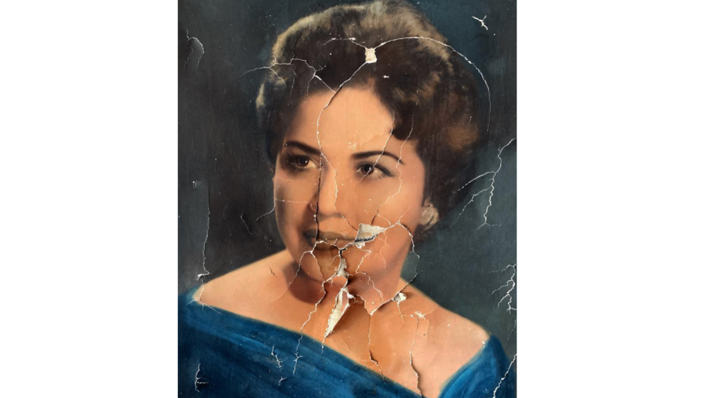 Imagem de Patria, de Olenka Carrasco.
