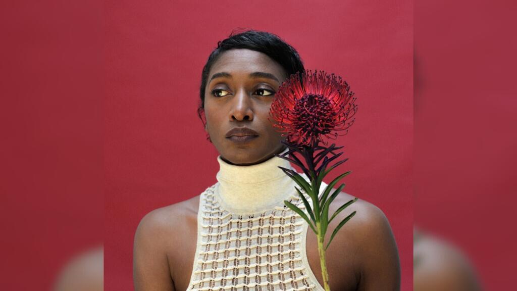 La chanteuse et musicienne britannique ALA.NI sort son nouvel album intitulé «Sunshine Music».