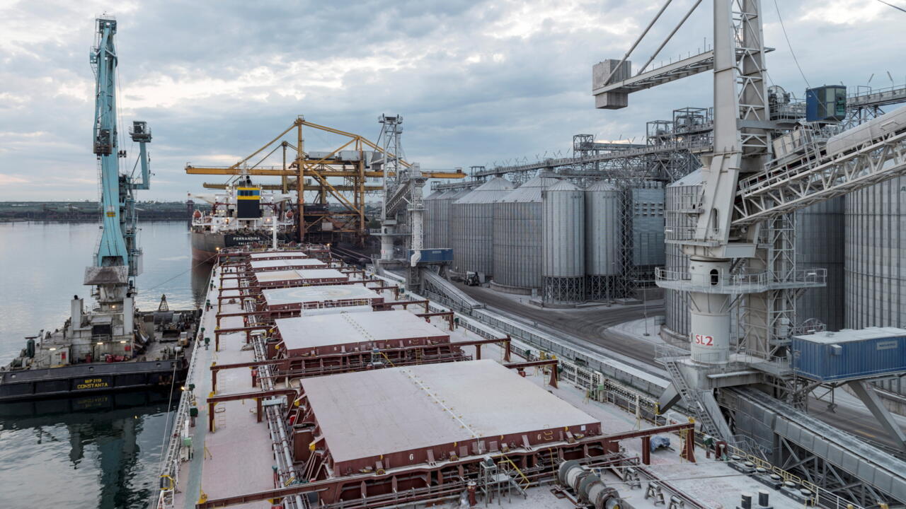 Chronicle of raw materials Trafficking in Ukrainian cereals Russia