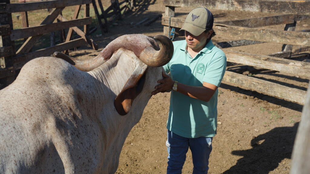Mauricio Tambare, éleveur, dans son ranch, dans le département de Santa Cruz à l’est de la Bolivie.