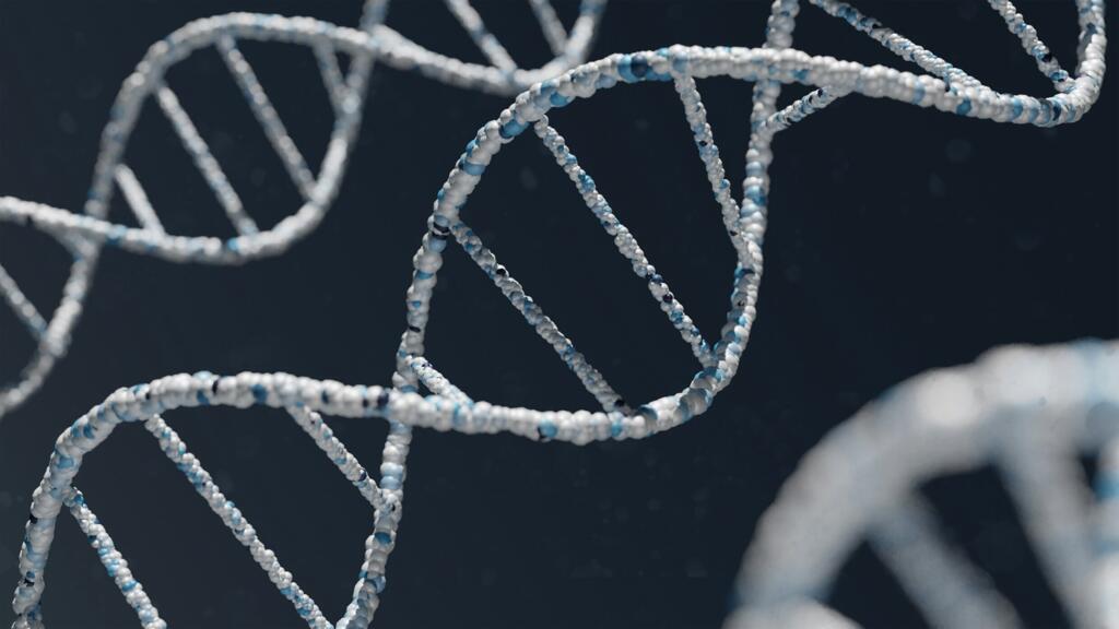 À travers l’analyse de l’ADN de 60 individus enterrés dans l’est de la Chine, les chercheurs ont démontré qu'une communauté néolithique du Shandong transmettait l’identité familiale par la lignée maternelle, et ce, sur au moins dix générations. (Image d'illustration)