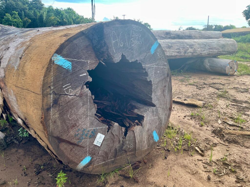 Tora de madeira extraída pela Ebata na Floresta Nacional de Saracá-Taquera.