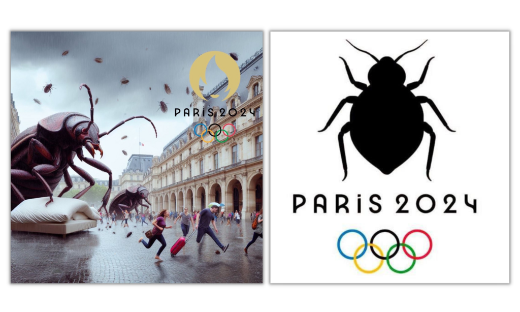 Exemples de visuels relayés sur les réseaux sociaux et visant à dégrader l'image de la France à l'approche des Jeux Olympiques.
