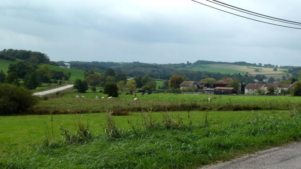 8000 cas de vols ont été recensés dans les campagnes françaises depuis début 2013.