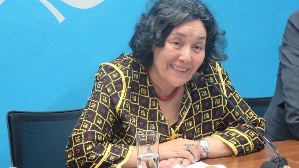 Depuis janvier 2018, Leila Zerrougui est représentante spéciale du secrétaire général des Nations unies et chef de la mission de l’Organisation des Nations unies pour la stabilisation en République démocratique du Congo (MONUSCO). Son mandat arrive à expiration en février 2021.