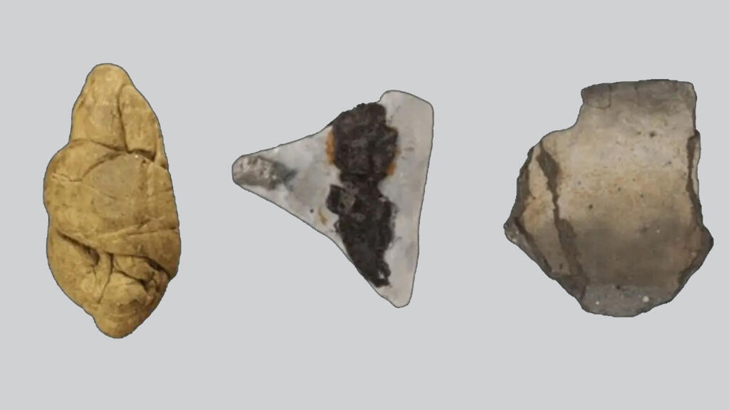 Fragments de goudron de bouleau datant du Néolithique, étudiés pour leur contenu en ADN humain et végétal afin de retracer les pratiques quotidiennes de l’époque.