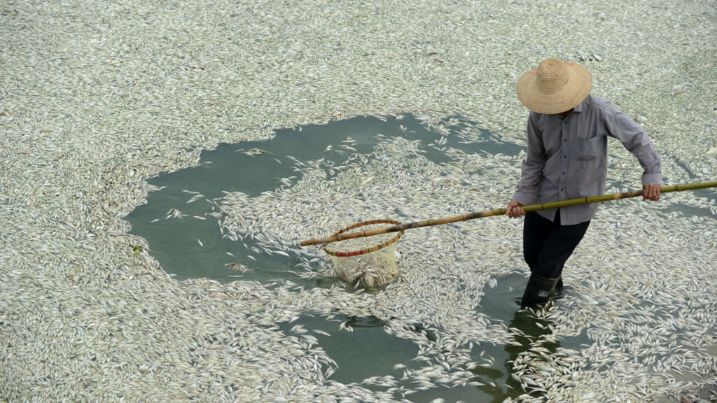 Chine: une ruée vers l'or dans le Hubei pollue les rivières et assèche les nappes phréatiques
