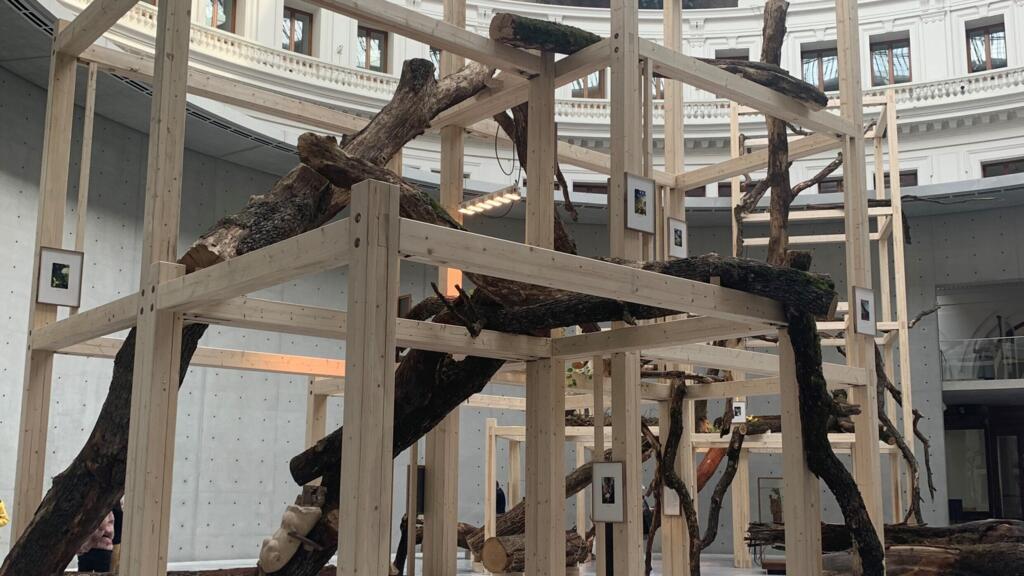 Instalação do artista vietnamita-dinamarquês Danh Vo no espaço central da rotunda; ele criando um sombrio jardim, onde arvores castigadas são sustentadas por estruturas de apoio. (8/3/23)