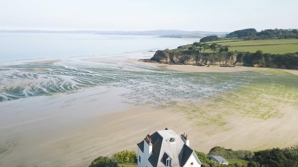 Algues vertes d'échouage en Bretagne