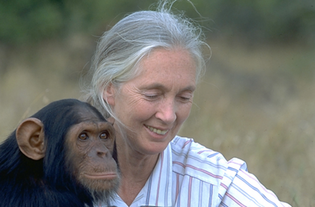 JANE: un retrato intimista de la primatóloga Jane Goodall - Mundo Ciencia