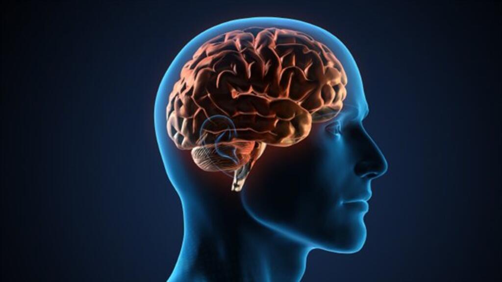 O estudo publicado na revista Nature em 7 de março mostrou que a infecção pelo SARS-Cov-2 pode afetar as funções cognitivas, mesmo em formas leves.