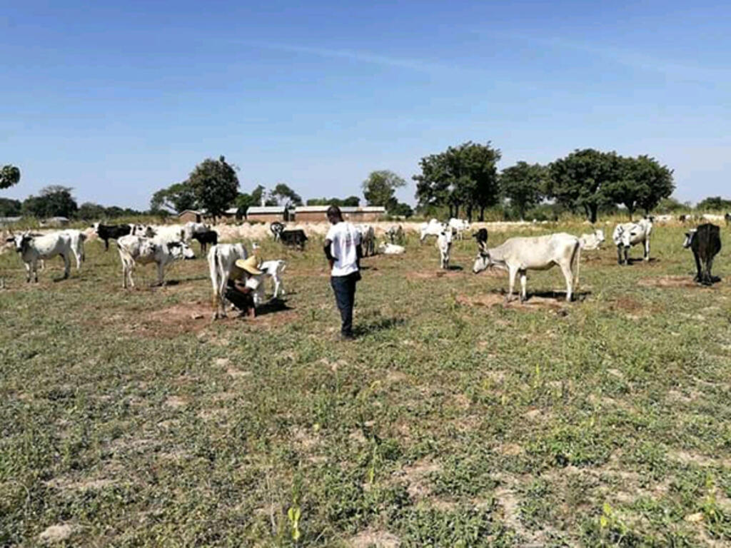 La ruralité de Ouaké.