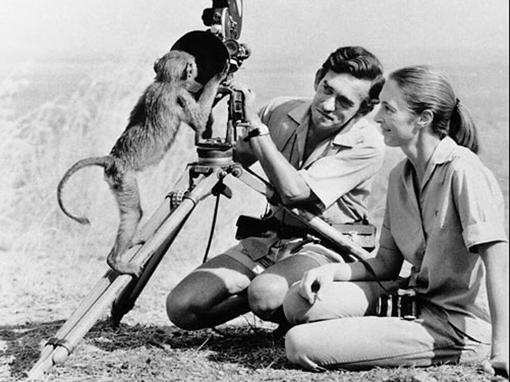 Jane Goodall y el cineasta Hugo Van Lawick, en Tanzania, en los años sesentas. El cineasta se convertirá después en su marido y tendrá con él un hijo.