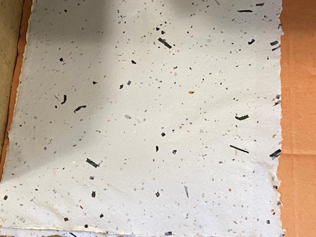 Feuille de papier recyclée et ensemencée