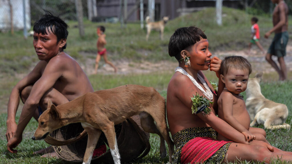 Indígenas Yanomami na região de Alto Alegre, estado de Roraima, em 2020.