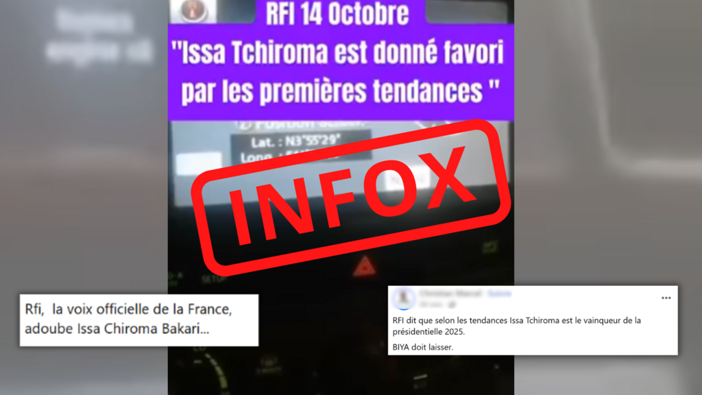 Présidentielle au Cameroun: un extrait de la Deutsche Welle attribuée à tort à RFI