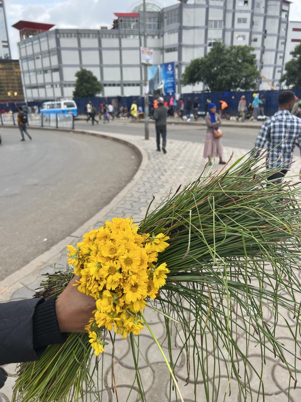 Adey Ababa, flor endêmica símbolo do ano novo etíope