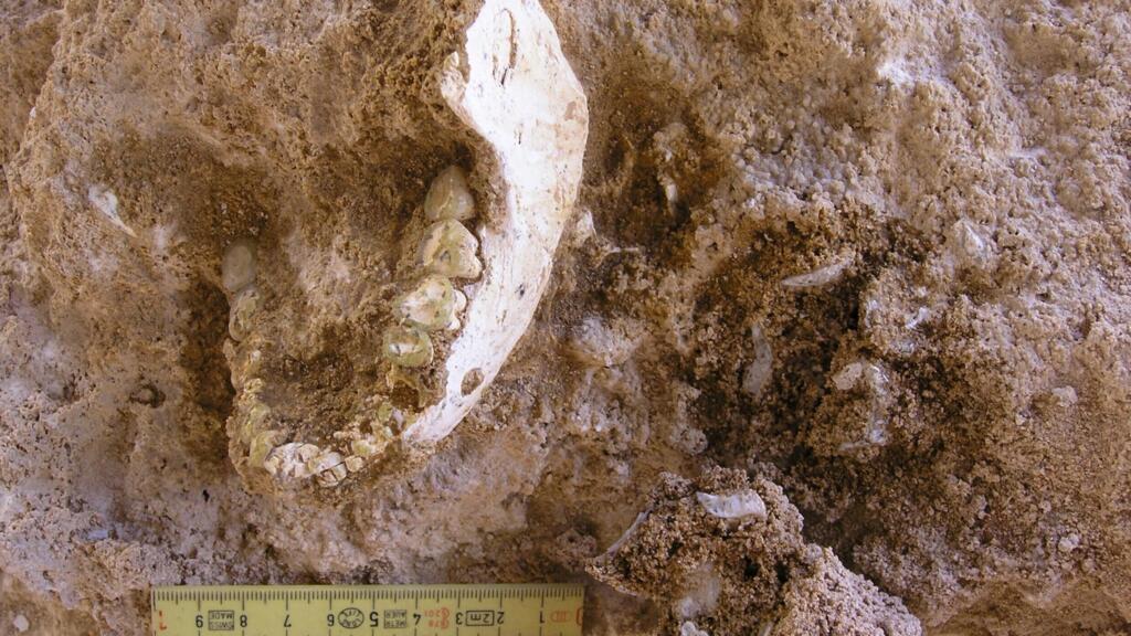 L’origine africaine de l’humanité confortée par un ancêtre découvert au Maroc, dit une étude