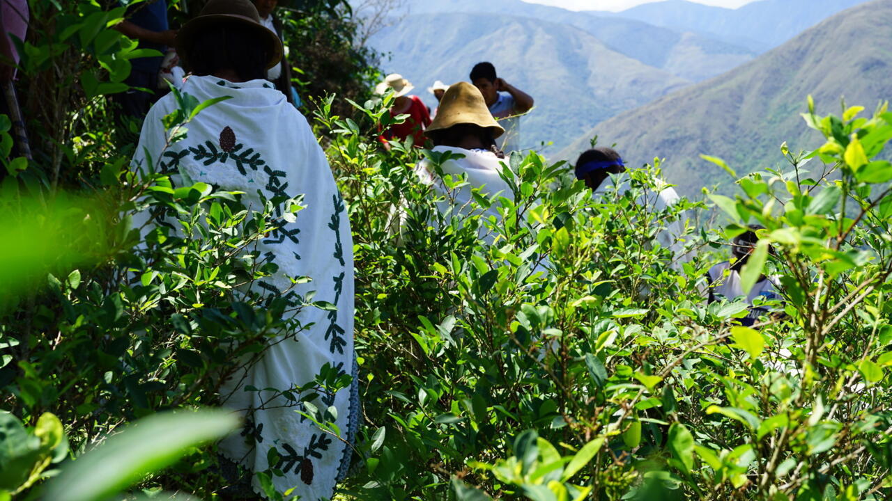 Le retour de la droite au pouvoir en Bolivie, promesse d’une lutte frontale contre le narcotrafic?