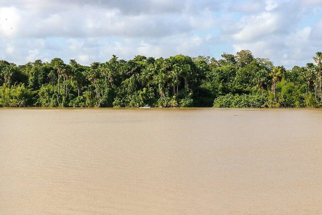 Barco navega junto à margem do rio Amazonas, próximo da foz, no arquipélago do Bailique, Macapá (Amapá).