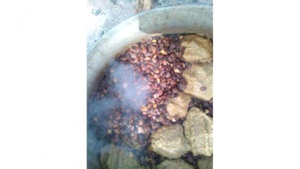 Zamné au couscous de petit mil.