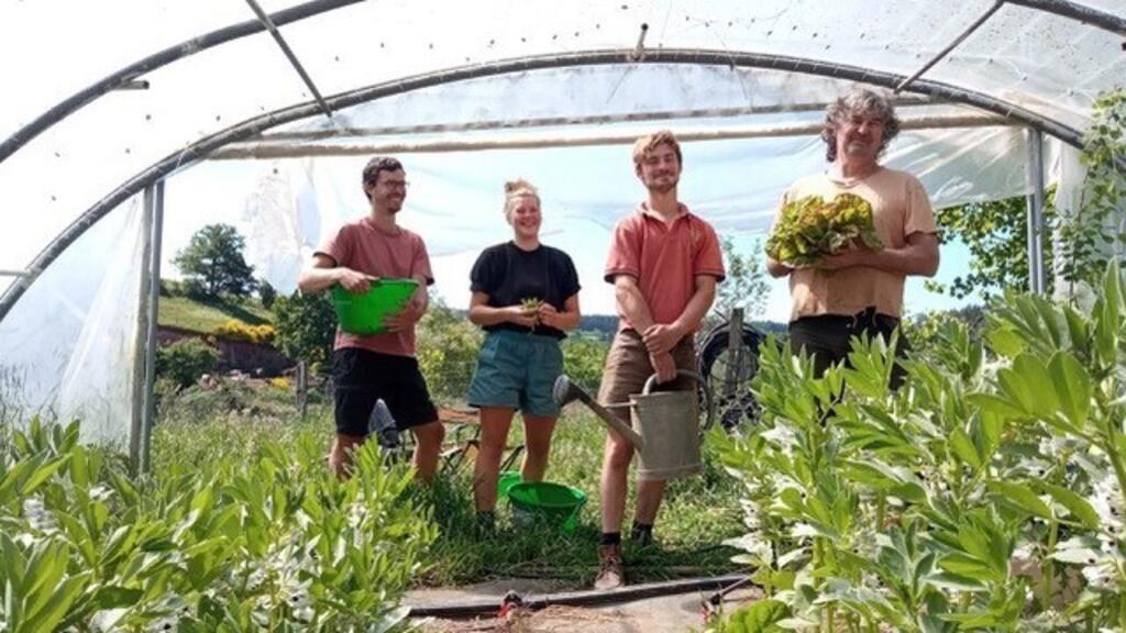 Eric Privat à droite dans sa ferme des Grands Noyers avec Théo Vandecaveye-Vanduick qui travaille avec lui et deux wwoofeurs allemands, Merle et Wenzel.