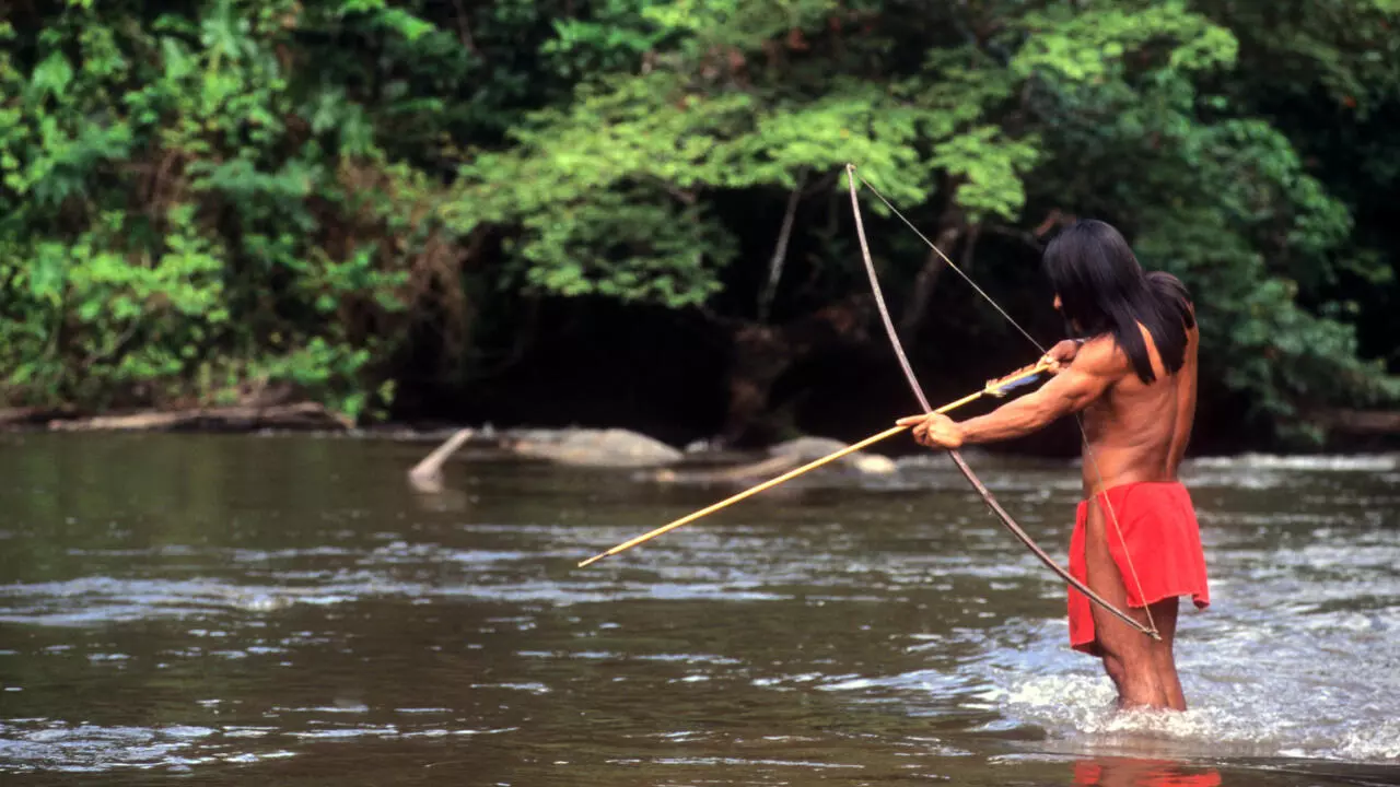 Menaces Sur Toute L Amazonie