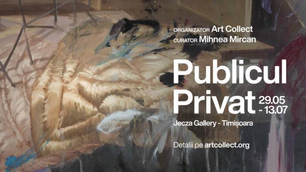 Publicul Privat