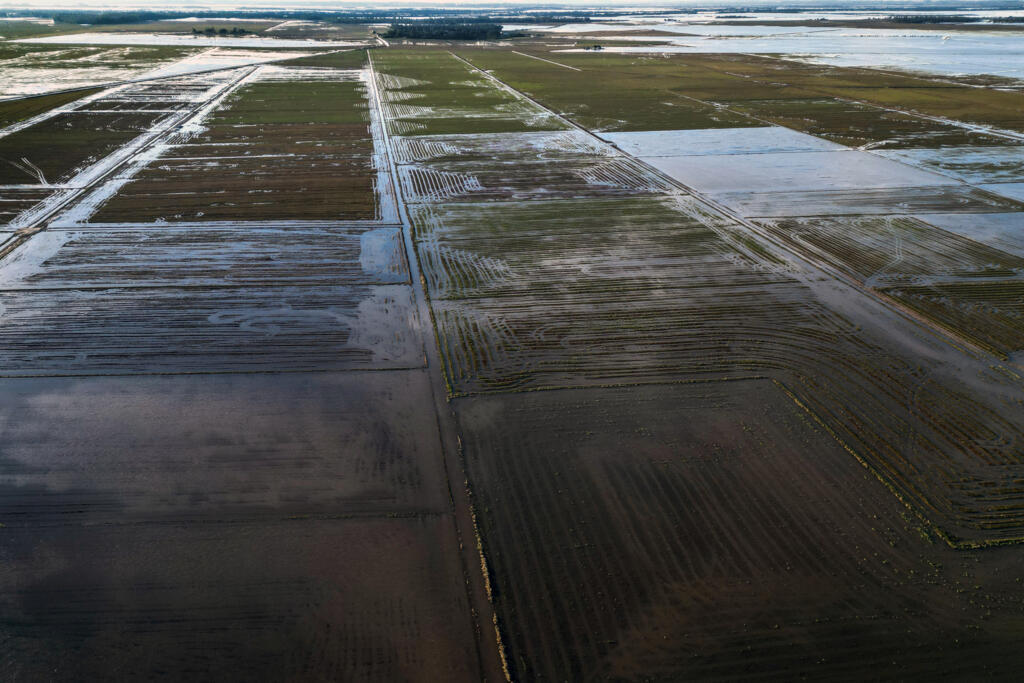 Plantações de arroz inundadas em Eldorado do Sul. Maior parte das colheitas já havia sido feita, mas condições de armazenamento foram atingidas por enchentes em todo o Estado. 9 de maio de 2024.