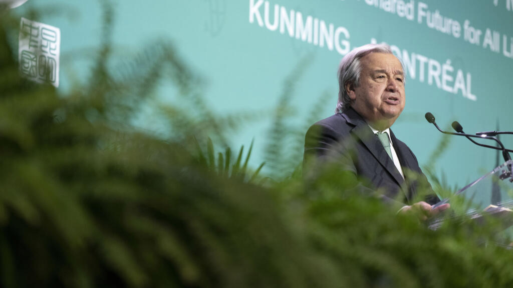 COP15 biodiversit&eacute;: aboutir &agrave; un accord avec des engagements concrets pour 2030