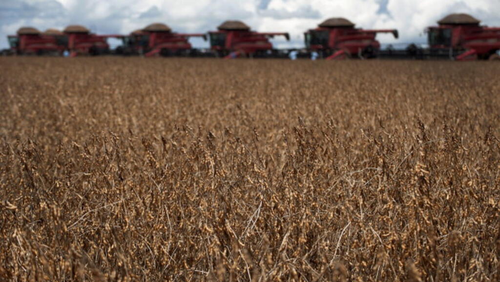 Brésil : plongée au coeur de l'agrobusiness du soja