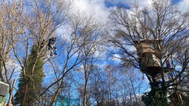 À Lüzerath, les activistes espèrent échapper aux forces de l’ordre par un système de mâts et de cabanes en bois dans les arbres reliés par des tyroliennes.