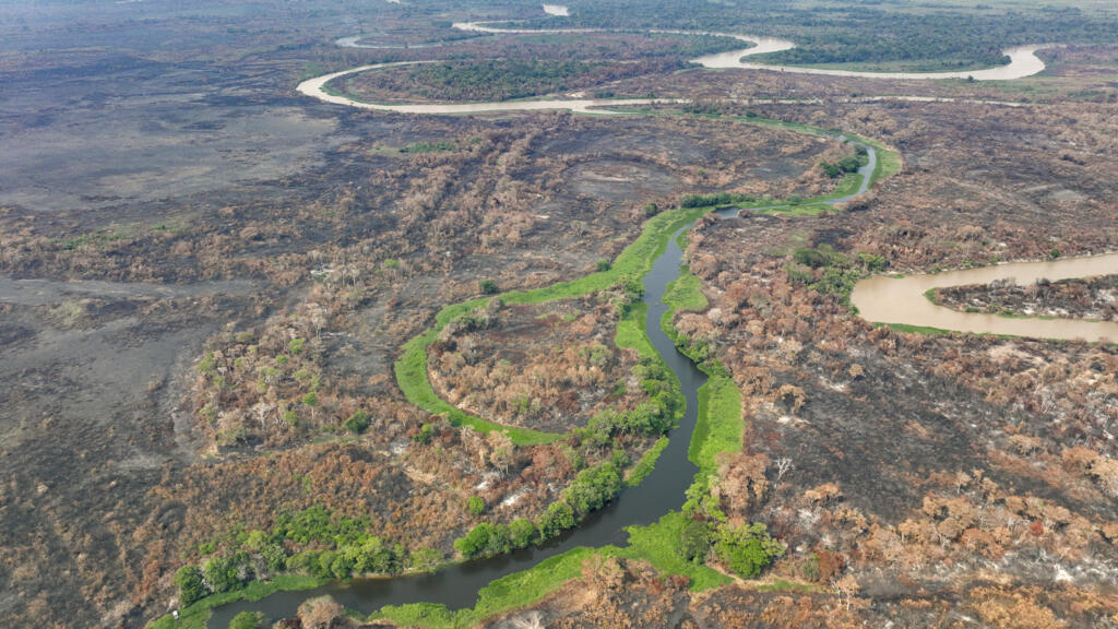Imagem dos incêndios em 2023 mostra devastação do Pantanal pelo fogo, a maior planície alagável do mundo. (17/11/2024)